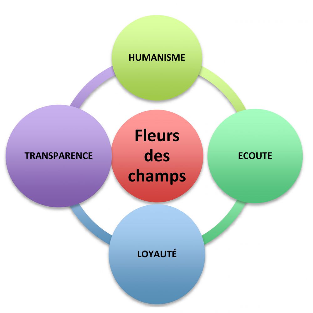 Projet Associatif Ehpad Fleurs Des Champs Proximite Nantes